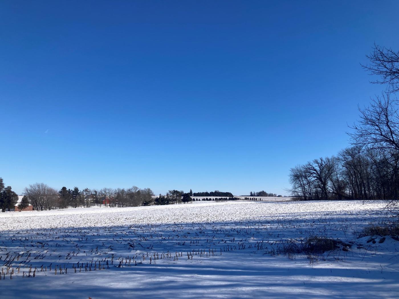 Her, i landskapet ved Sogn i Minnesota, slo Ivar Hustvedt seg ned.