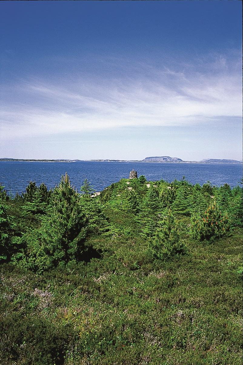Vardetangen
