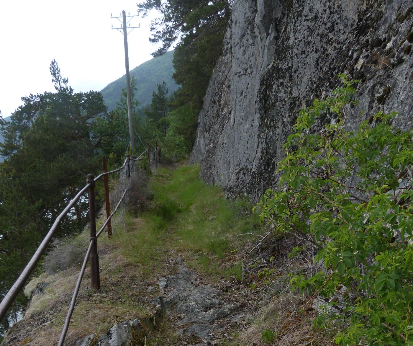 Gamlevegen i Tusvikberget, 2019: utsprengd i berget, stabbesteinar, jernrekkverk, telefonstolpar, og velgjorde murar, dessutan interessant planteliv med fleire slags vokstrar.