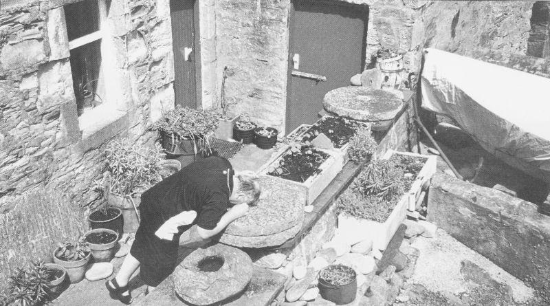 Fylkesgeolog Bjørn Falck Russenes granskar ein kvernstein attmed eit bustadhus i Lerwick. Bergarten liknar på glimmerskifer-gneisen i Hyllestad.



