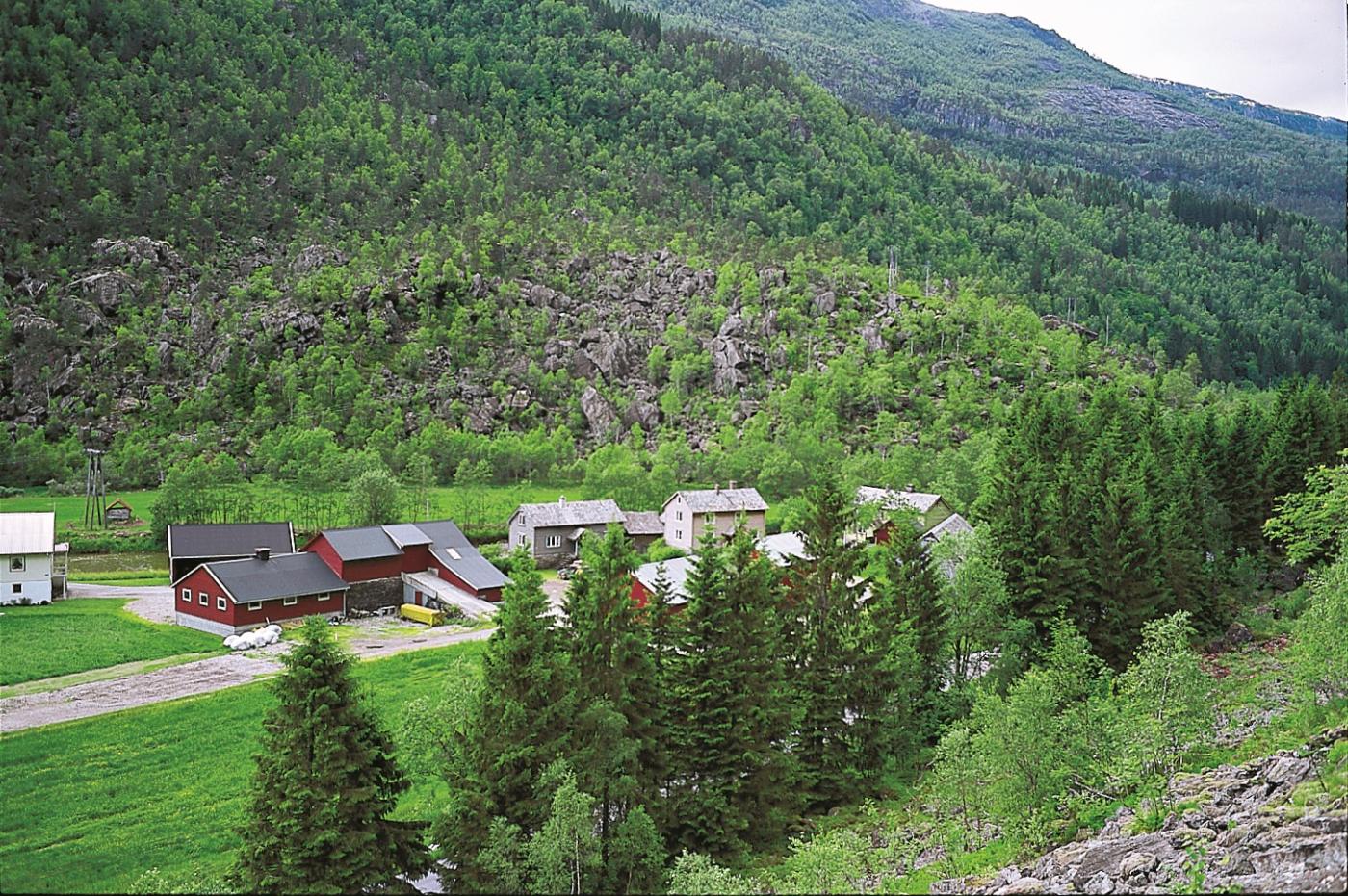 Den mektige ura ved garden Langeland