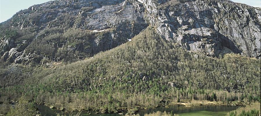 Valurdi ovanfor Farestveit i Modalen