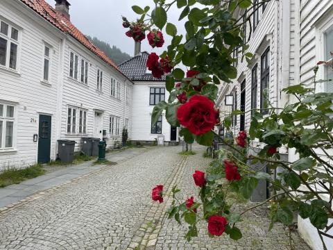 Skuteviksveien i Sandviken