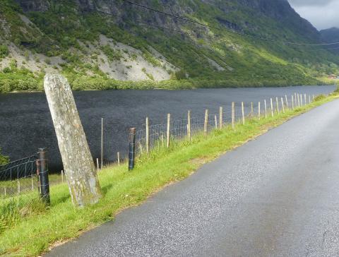 Vegminnesteinen i Standal, står tett attmed vegen i skiljet mellom Øvre og Nedre Standal på sørsida av Standalsvatnet. Vegen går fram til gardane i øvre enden (høgre).
