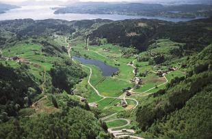 Meland